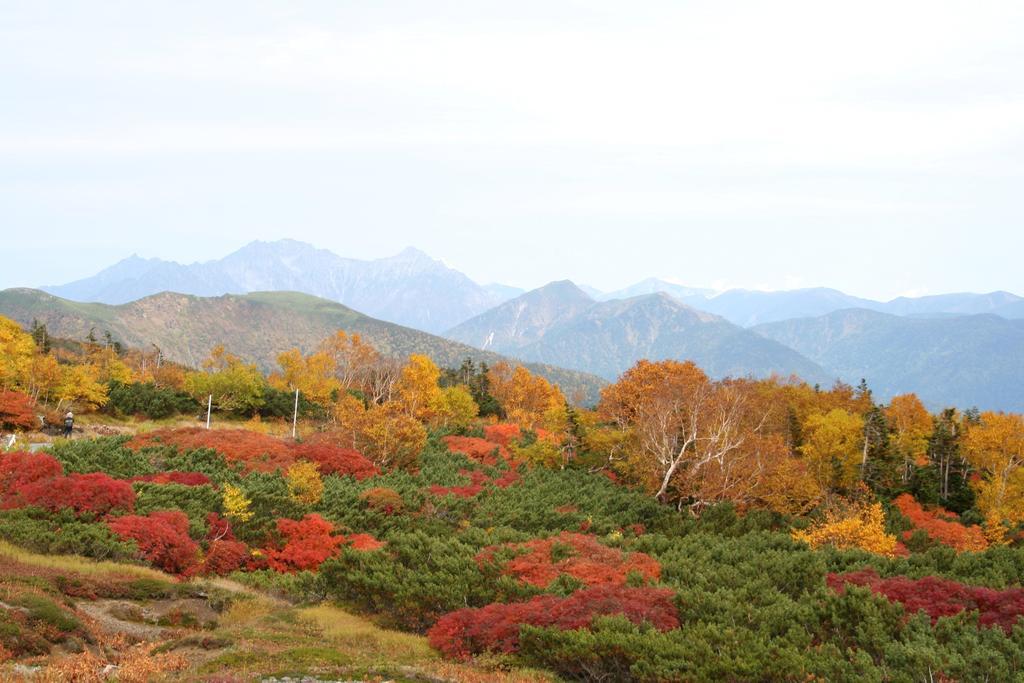 Alpine Inn Mizushiro Macumoto Exteriér fotografie