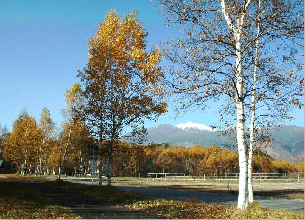 Alpine Inn Mizushiro Macumoto Exteriér fotografie